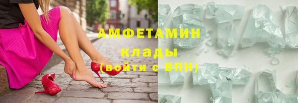 мет Алексин