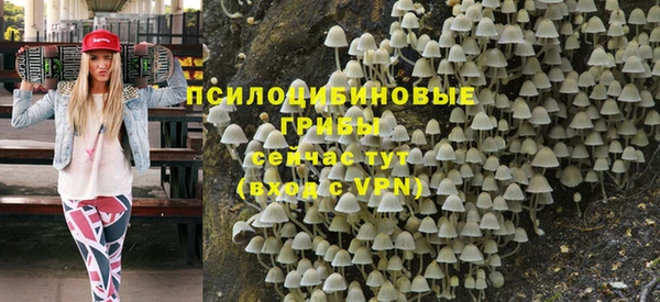 мет Алексин