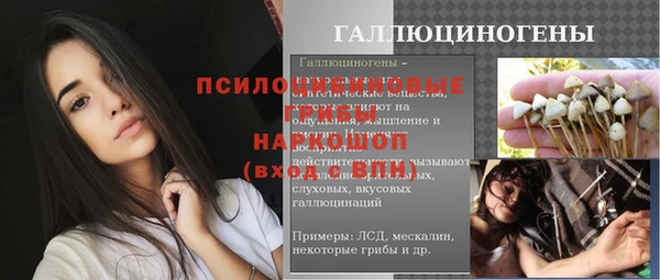 мет Алексин