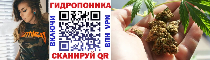 Каннабис MAZAR  наркотики  Дмитров 